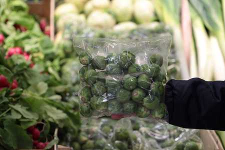 A seller who chooses cabbage in the storeの写真素材