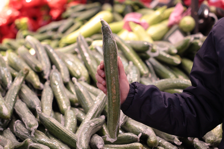 A seller who chooses fruits / vegetables in the supermarketの写真素材