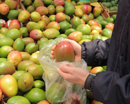 A seller who chooses mango in the storeの写真素材