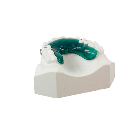 Gypsum model of human jaw on a white backgroundの写真素材