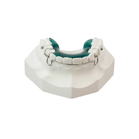 Gypsum model of human jaw on a white backgroundの写真素材