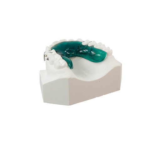 Gypsum model of human jaw on a white backgroundの写真素材