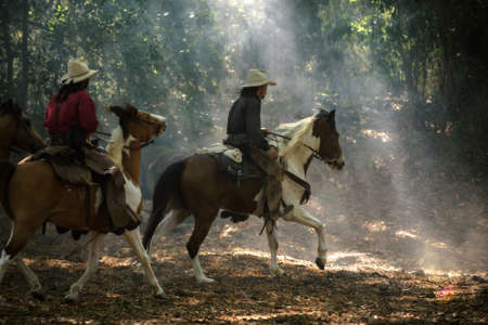 Cowboy riding a horse carrying a gunの写真素材