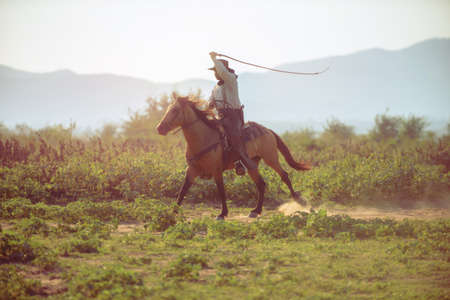 A western cowboy riding a horse in a hand holding a rope