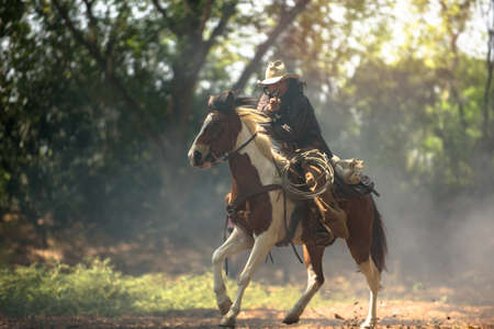 Cowboy riding a horse carrying a gunの写真素材