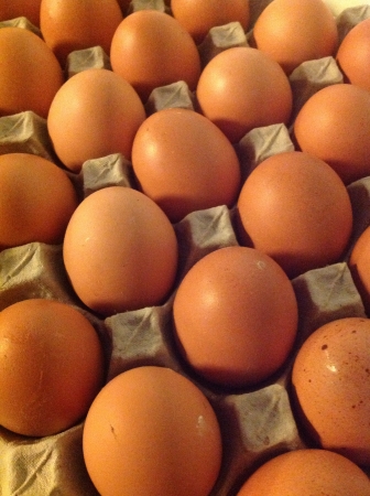 Tray of eggsの素材