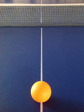 Table tennis ball with netの素材