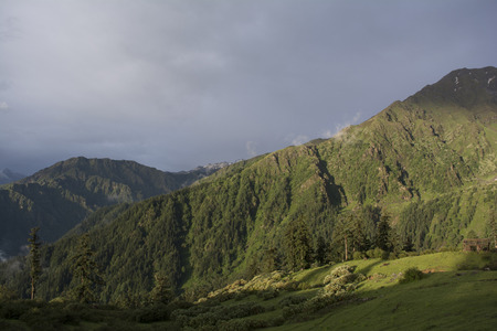 mountain meadowの写真素材