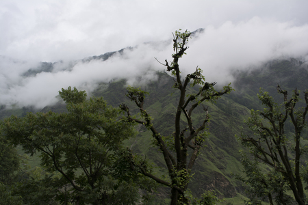 mountain sceneの写真素材