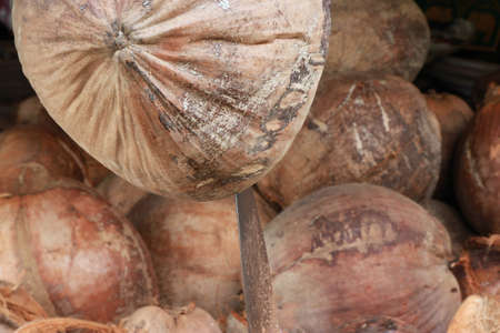 Coconut for sale at the market in Thailand, Close upの写真素材