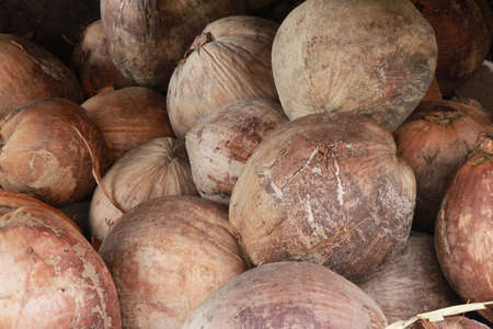 Coconut for sale at local farmers market, closeup viewの写真素材