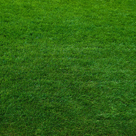Top view green grass texture background. Green grass background in high quality. Perfect for nature and outdoor themes.の写真素材