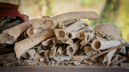 Pile of bones within enclosure at the Killing Fields, Phnom Penhの写真素材