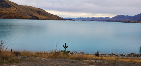 Lake Pukaki in the south island new zealandの写真素材