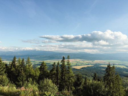 Poprad Czech Republic outdoor forest and lake trail with mountainsの写真素材