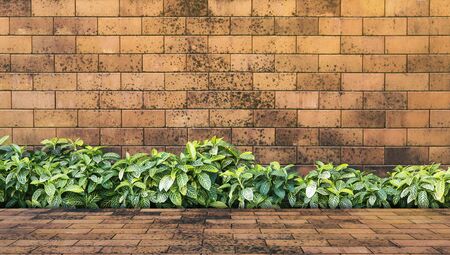 Red brick wall texture backgroundの写真素材