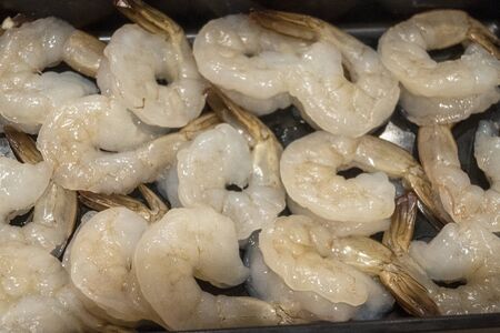 Raw fresh Shrimp on a plate, Fresh Raw Seafood.の写真素材