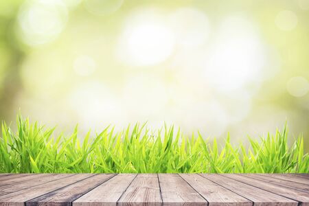 Fresh green grass with bokeh sunlight and wooden floorの写真素材