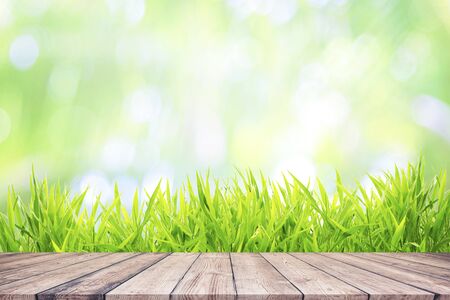 Fresh green grass with bokeh sunlight and wooden floorの写真素材