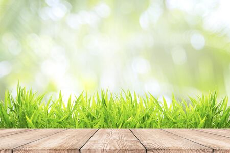 Fresh green grass with bokeh sunlight and wooden floorの写真素材