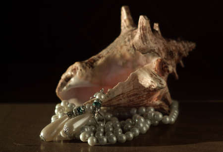 Jewellery and sea shellの写真素材