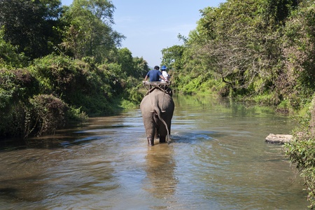 Elephant riding for tourists in west of Thailand の写真素材