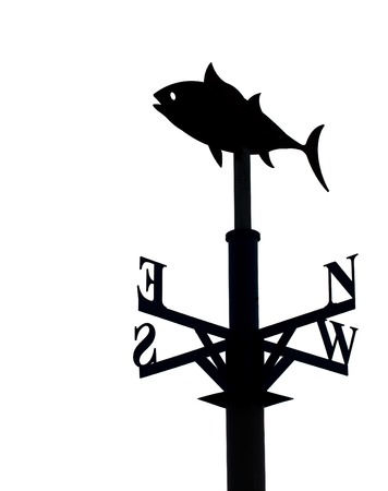 Vane in form of fish isolated. Silhouetteの写真素材