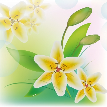 White beautiful lilies on a tender backgroundのイラスト素材