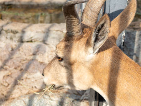 Nature reserve with birds living in the wild.の写真素材