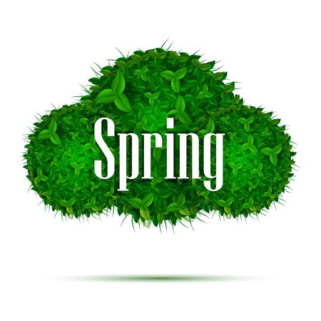 Spring green foliage. Poster cards. Vector illustrationのイラスト素材