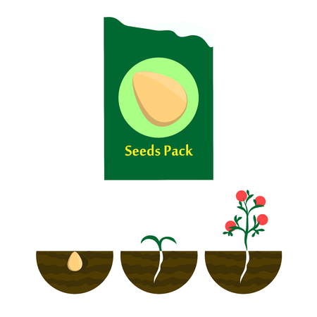 Seeds in the package, seed pods in the ground. Vector illustrationのイラスト素材
