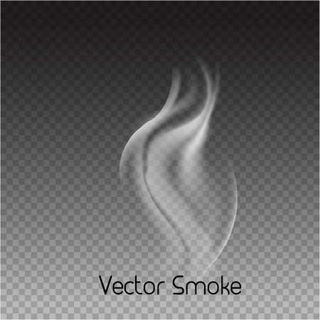 vector cigarette smoke on transparent background. Isolated smoke vector illustration.のイラスト素材