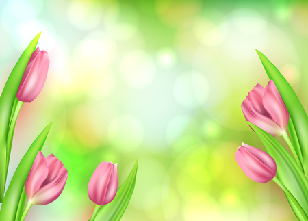 Spring flower beautiful background with realistic tulips. Vector illustration. Greeting spring cardのイラスト素材