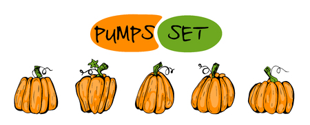 Doodle pumpkins.Vector paint hand drawn picture in cartoon style. Stock illustration.のイラスト素材