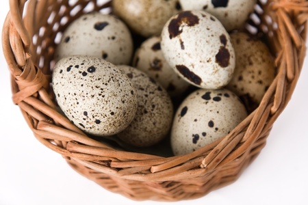 quail eggs in a basket, top viewの写真素材