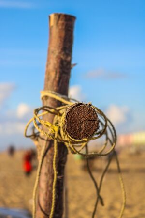 Wood in outdoorの写真素材