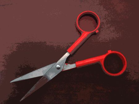 pair of scissors