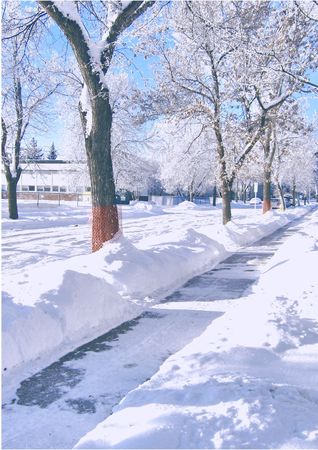 footpath in the midst of snowの写真素材