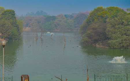 A mesmerizing view of hauz khas lake and garden from the hauz khas fort at hauz khas village at winter foggy morning.の写真素材