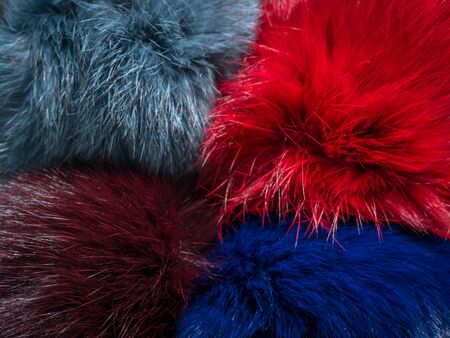 The color palette of fur. Natural fur photo. Macro photo of a fur. Fur texture
