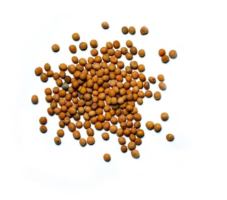 mustard seedsの写真素材