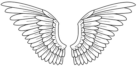 wings
