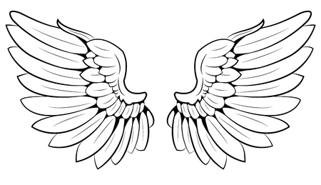 pair of wingsのイラスト素材