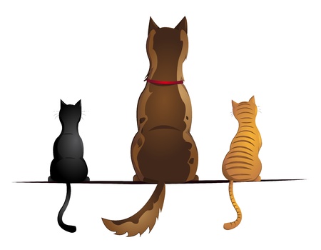 cats and dogのイラスト素材