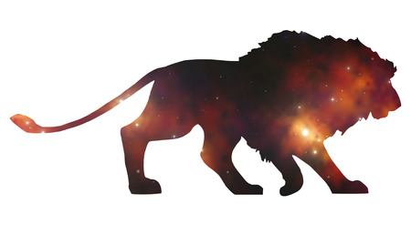 starlionの写真素材