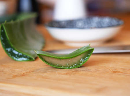 aloe veraの写真素材
