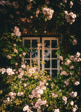 Beautiful vintage photo of a window in a blooming rose garden