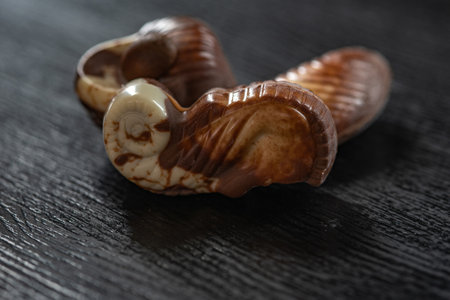 Figures of chocolate on a dark background.の写真素材