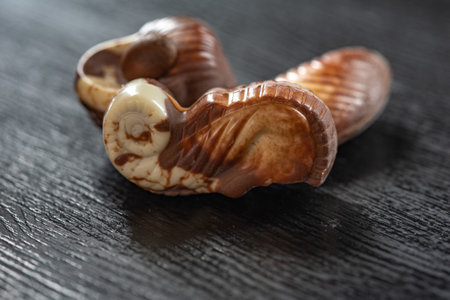 Figures of chocolate on a dark background.