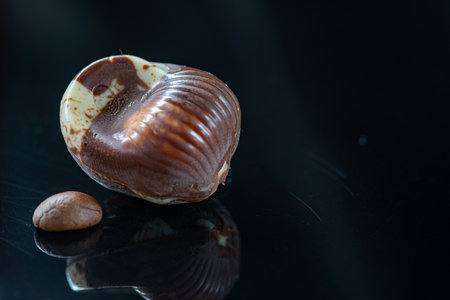 Figures of Belgian chocolate on a dark background.の写真素材